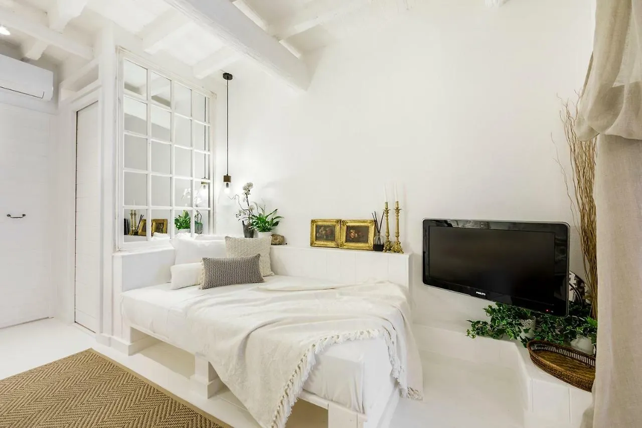 Trastevere Gem Cozy Light-Filled Retreat Rome Italy