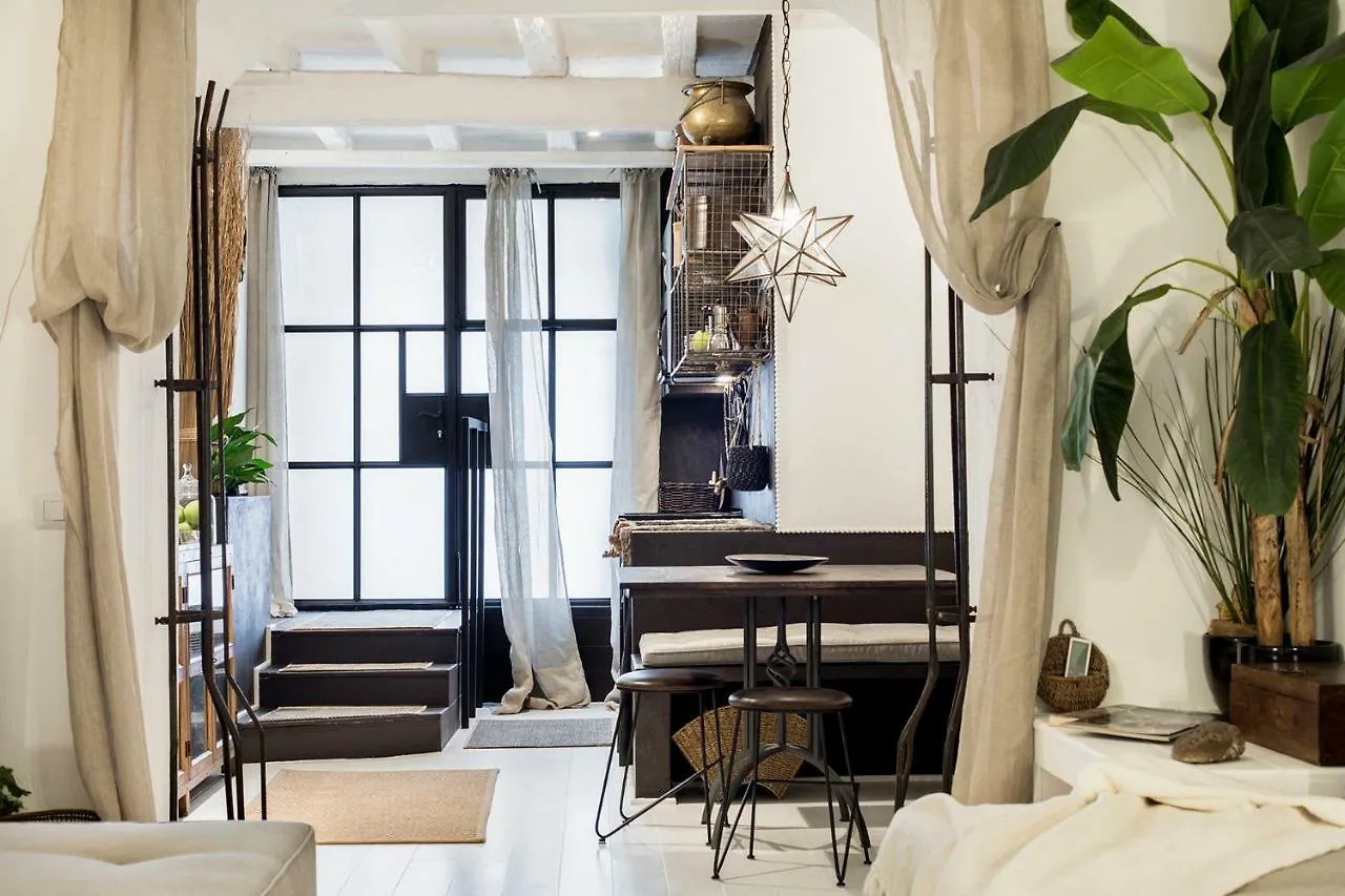 Trastevere Gem Cozy Light-Filled Retreat Rome Apartment